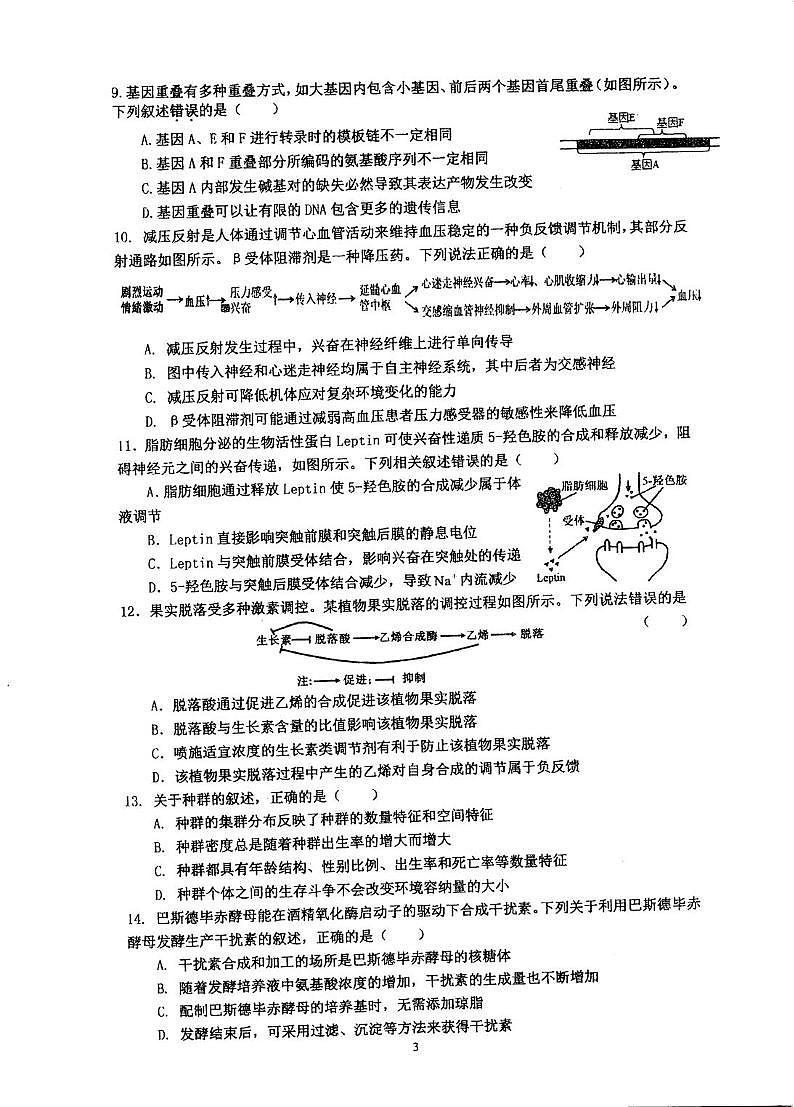江苏省泰州市海陵区江苏省泰州中学2025-2026学年高三上学期10月月考生物试题第3页