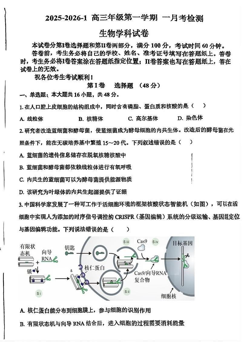 天津市滨海新区天津市第一中学滨海学校2025-2026学年高三上学期10月月考生物试题第1页