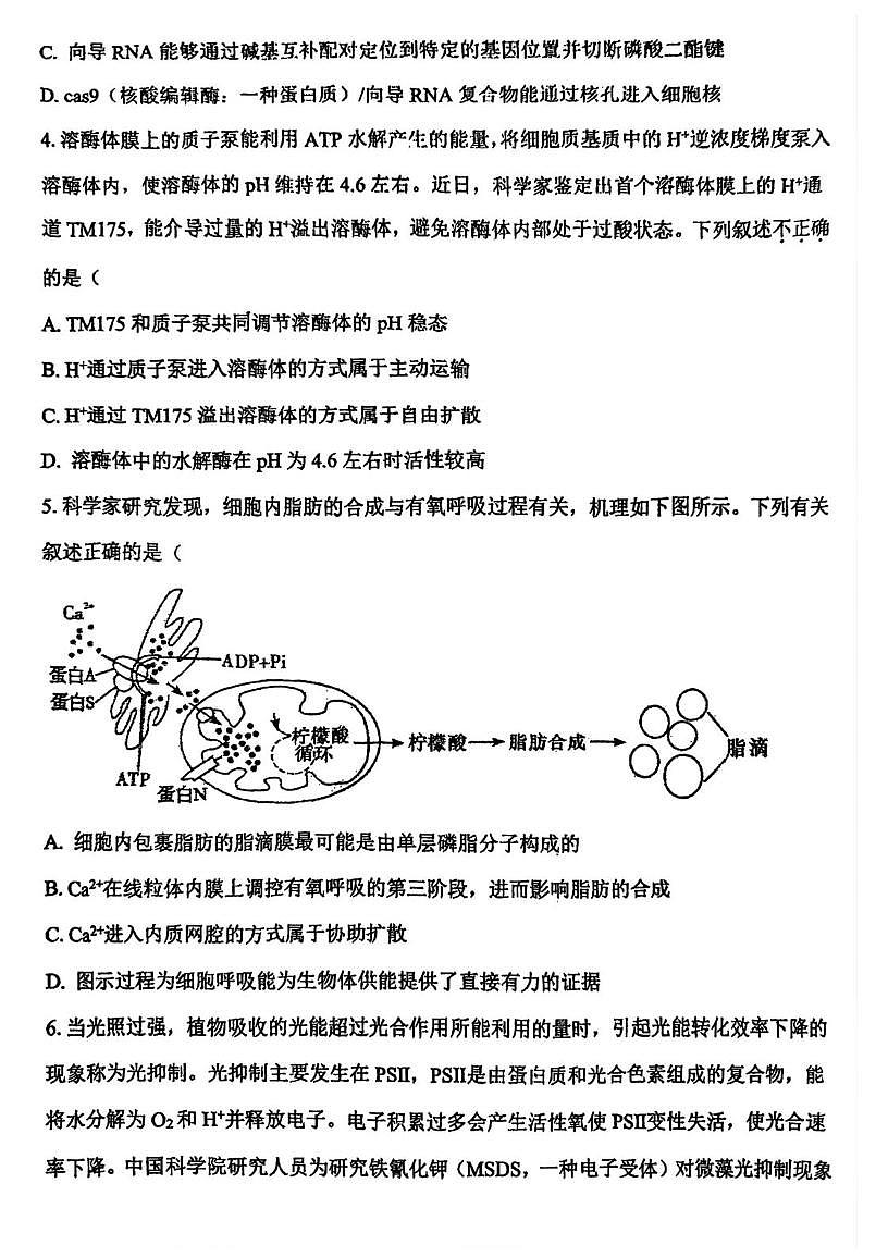 天津市滨海新区天津市第一中学滨海学校2025-2026学年高三上学期10月月考生物试题第2页