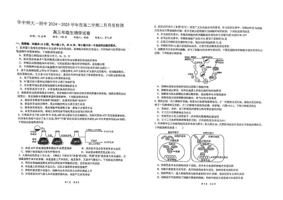 湖北省武汉市东西湖区华中师范大学第一附属中学2024-2025学年高三下学期2月月考生物试题第1页