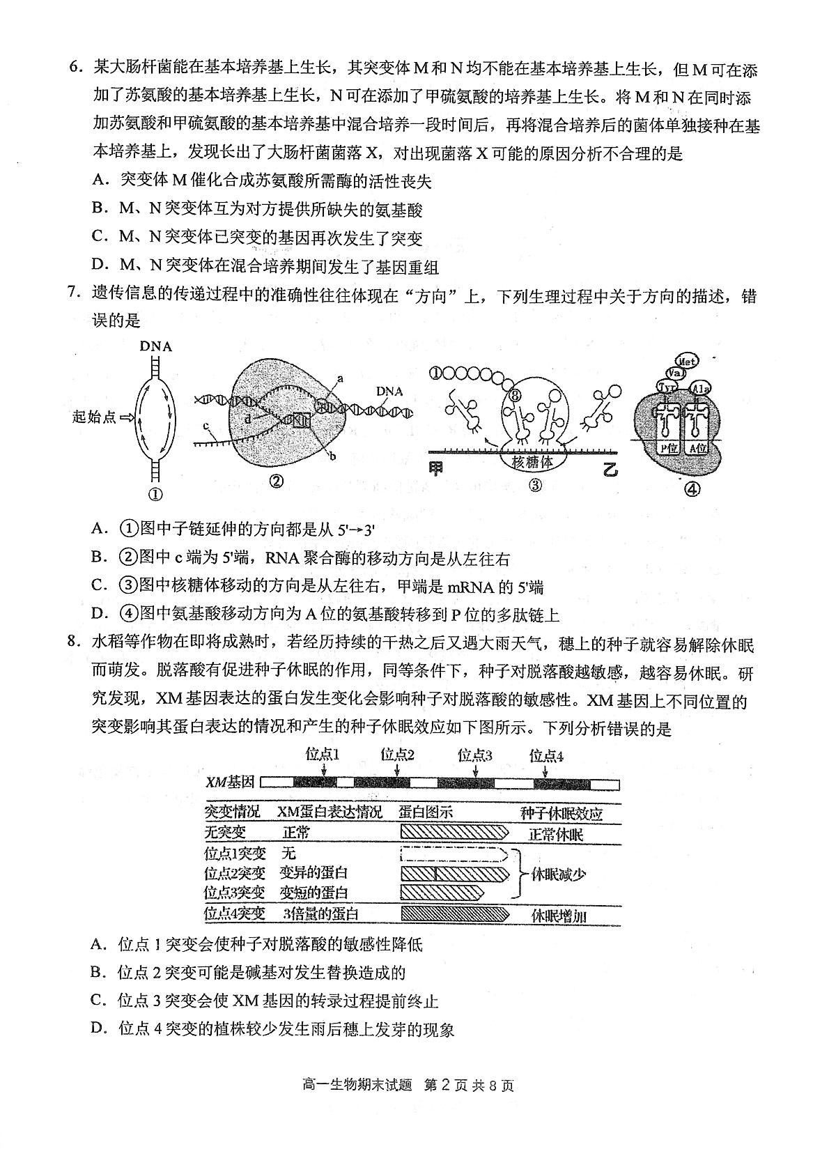 湖北省武汉市东西湖区华中师范大学第一附属中学2023-2024学年高一下学期7月期末生物试题第2页