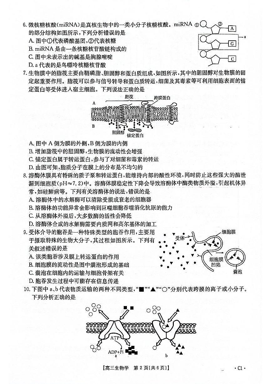 2025-2026年度上学期河南省高三年级第二次联考生物第2页