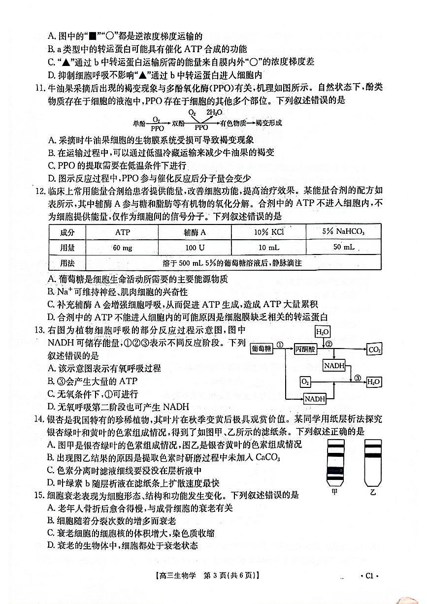 2025-2026年度上学期河南省高三年级第二次联考生物第3页