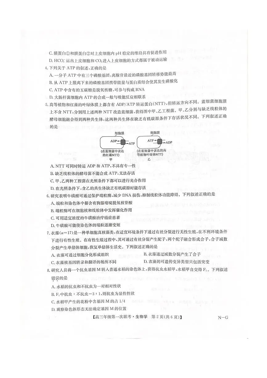 江西省新十校协作体2025-2026学年高三上学期10月第一次联考生物试卷（含答案）第2页