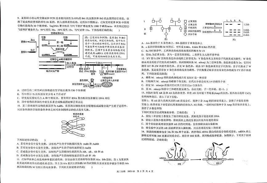 四川省成都市青羊区四川省成都市树德中学2025-2026学年高三上学期10月月考生物试题第2页