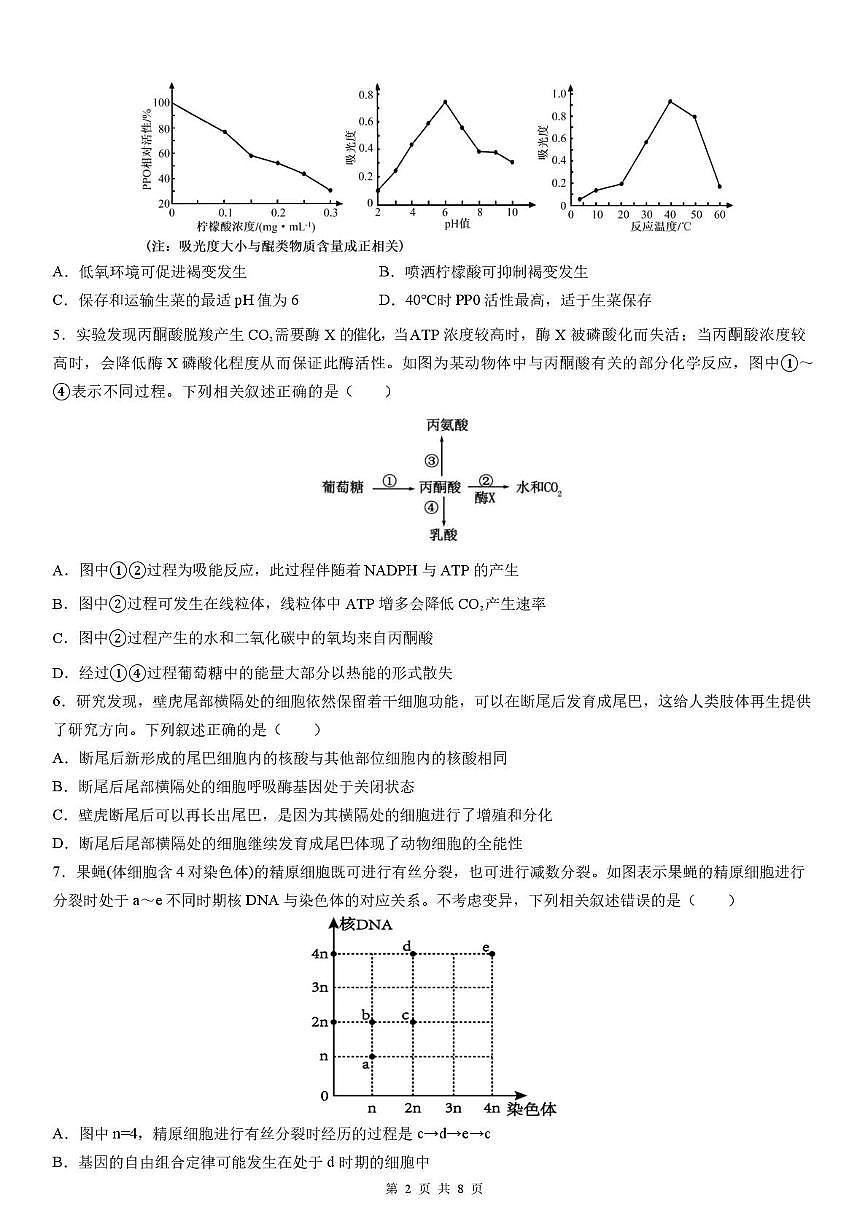 四川省成都石室中学2025-2026学年高三上学期10月月考生物试题第2页