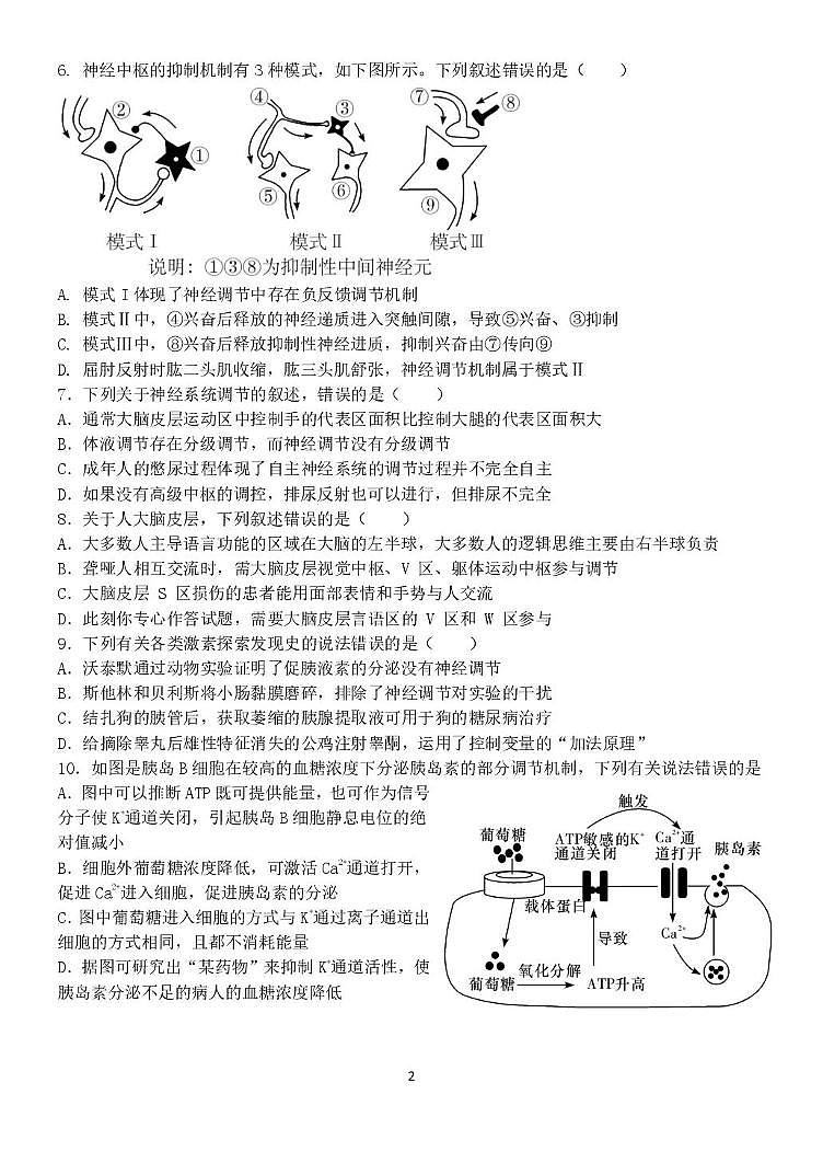 山东省潍坊第一中学2025-2026学年高二上学期10月月考生物试题第2页