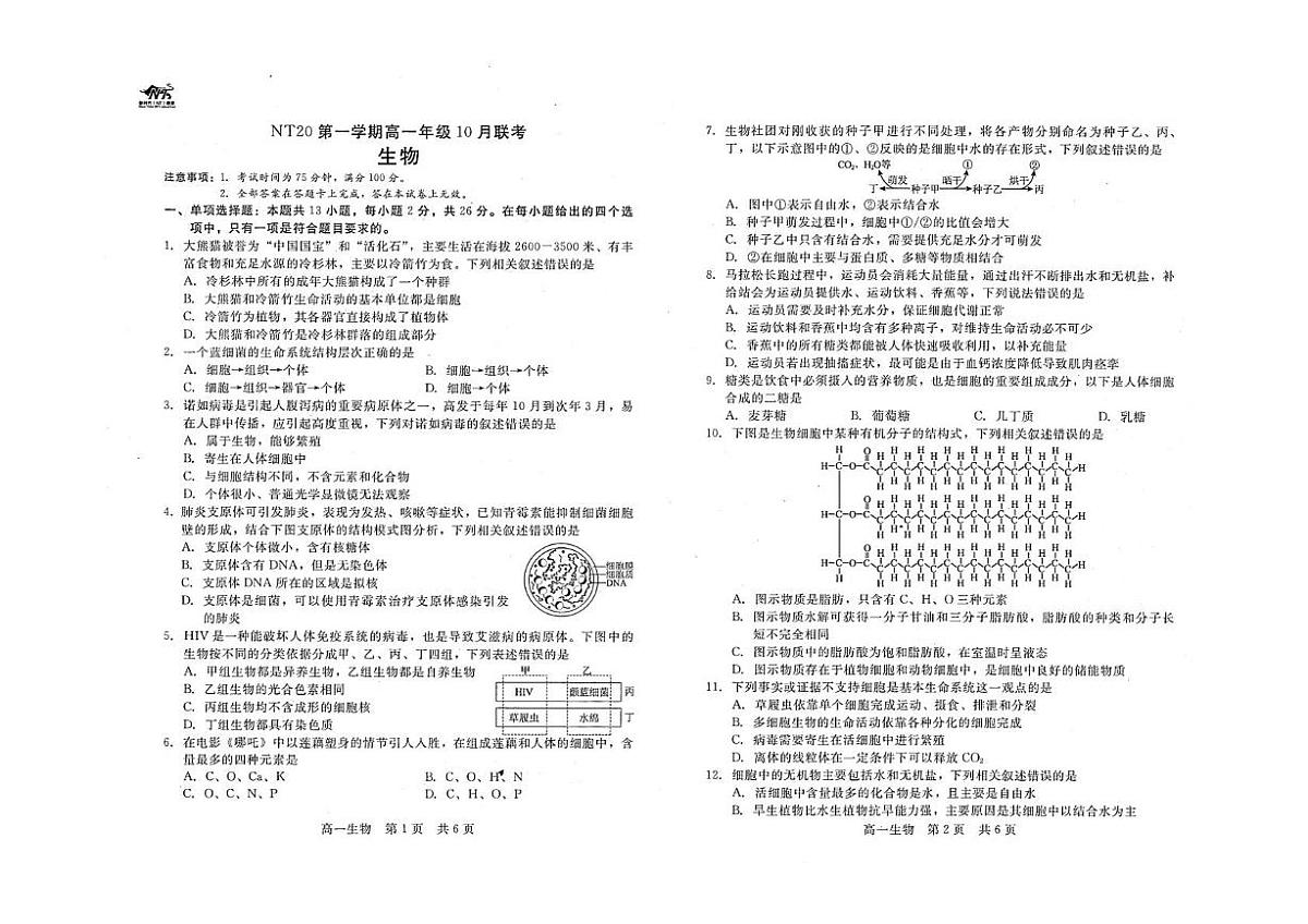 河北省NT20联考2025-2026学年高一上学期10月月考生物试题第1页