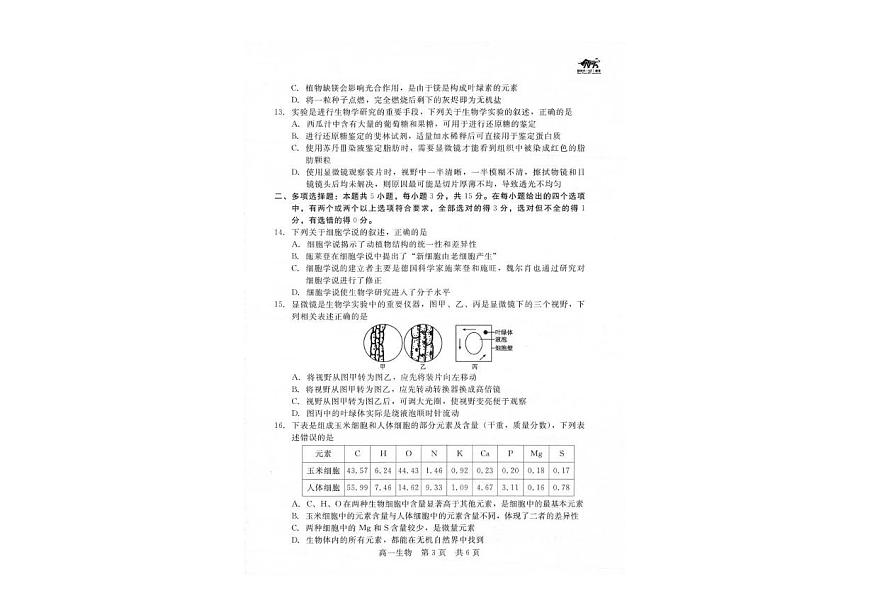 河北省NT20联考2025-2026学年高一上学期10月月考生物试题第2页