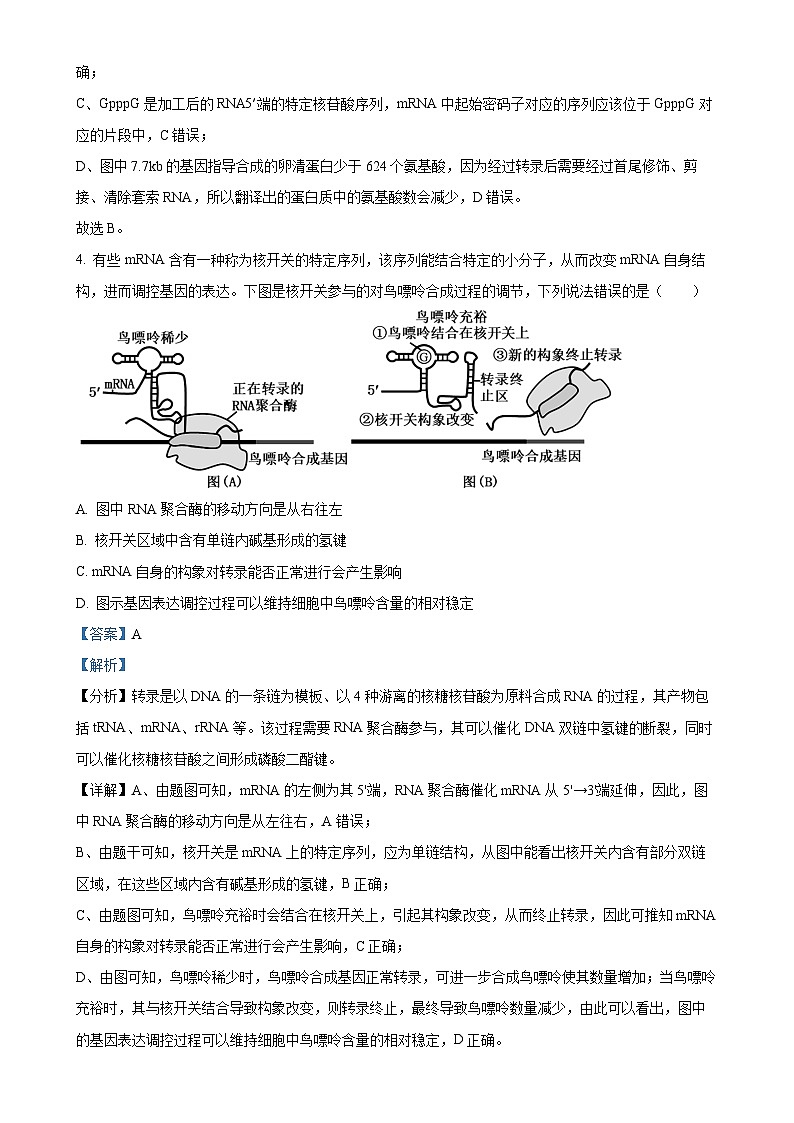 山东省滨州市惠民县第一中学2024-2025学年高一下学期5月月考生物试题（解析版）-A4第3页