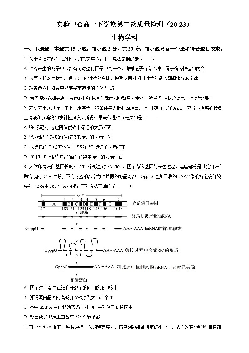 山东省滨州市惠民县第一中学2024-2025学年高一下学期5月月考生物试题（原卷版）-A4第1页