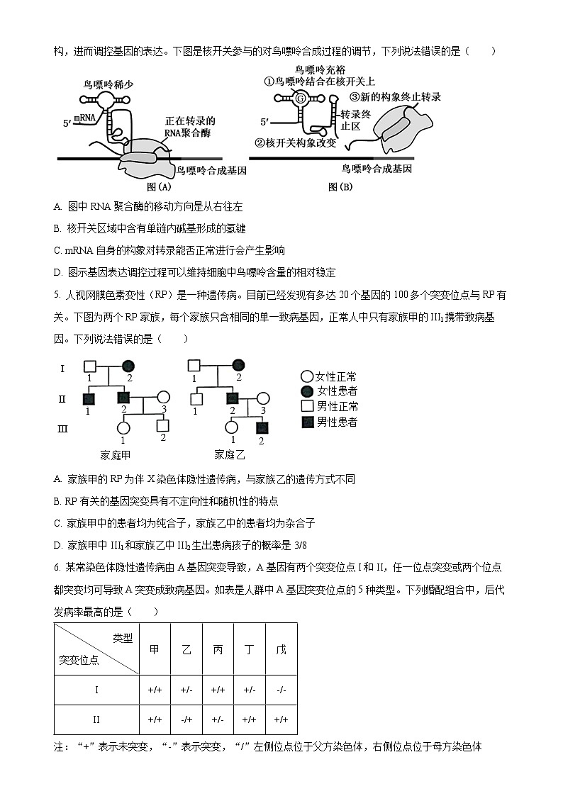 山东省滨州市惠民县第一中学2024-2025学年高一下学期5月月考生物试题（原卷版）-A4第2页