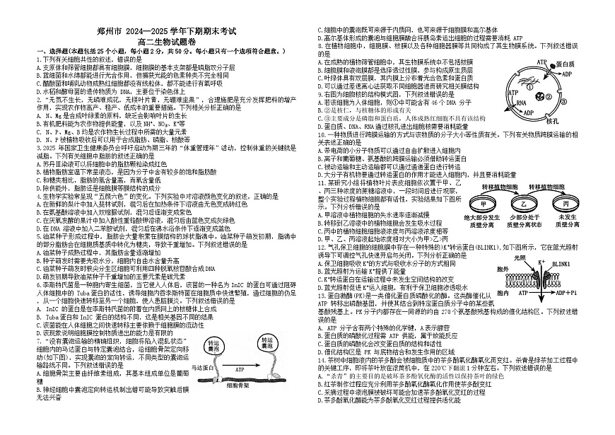 河南省郑州市2024-2025学年高二下学期期末考试生物试卷第1页