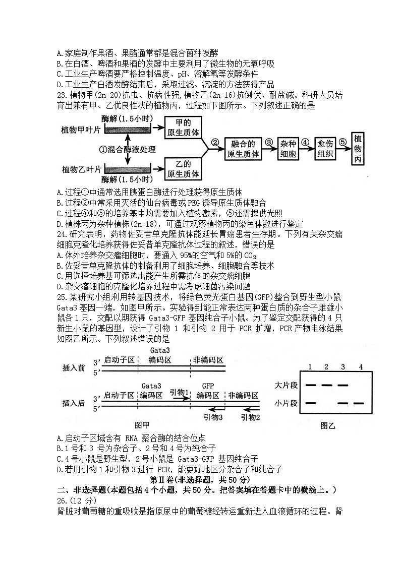 河南省郑州市2024-2025学年高二下学期期末考试生物试卷第3页