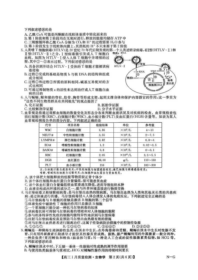 九师联盟2025届高三上学期1月质量检测-生物试卷（学生版）第2页