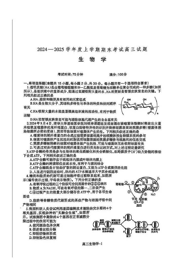 辽宁省协作体2025届高三上学期期末考试试题-生物试卷（含答案）第1页