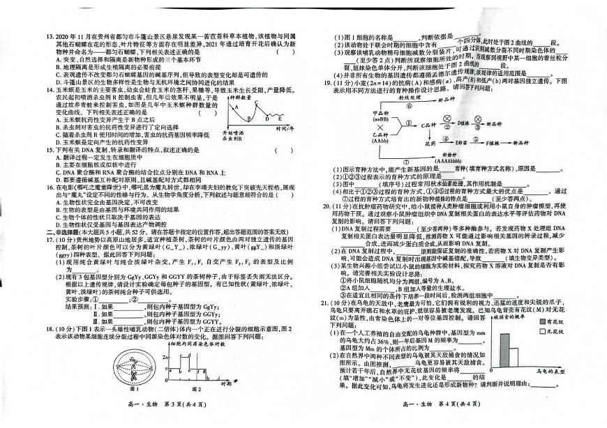 贵州省黔南州2024-2025学年高一下学期期末考试生物试卷+答案第2页