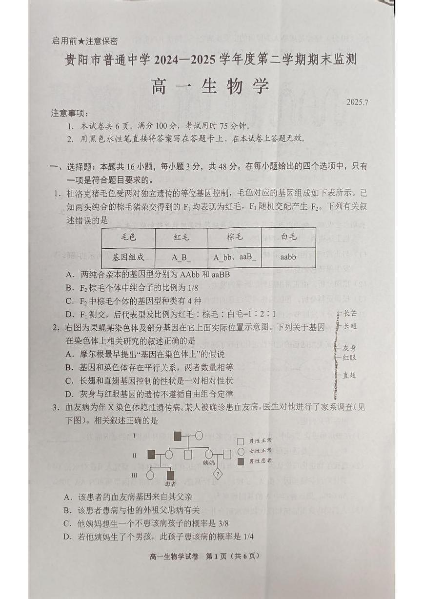 贵州省贵阳市普通高中2024-2025学年高一下学期期末考试生物试卷+答案第1页
