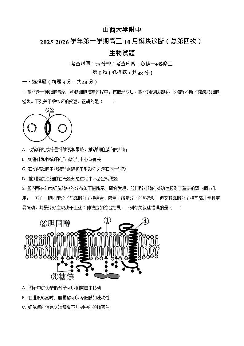 山西省山西大学附属中学校2025-2026学年高三上学期10月月考生物试卷第1页