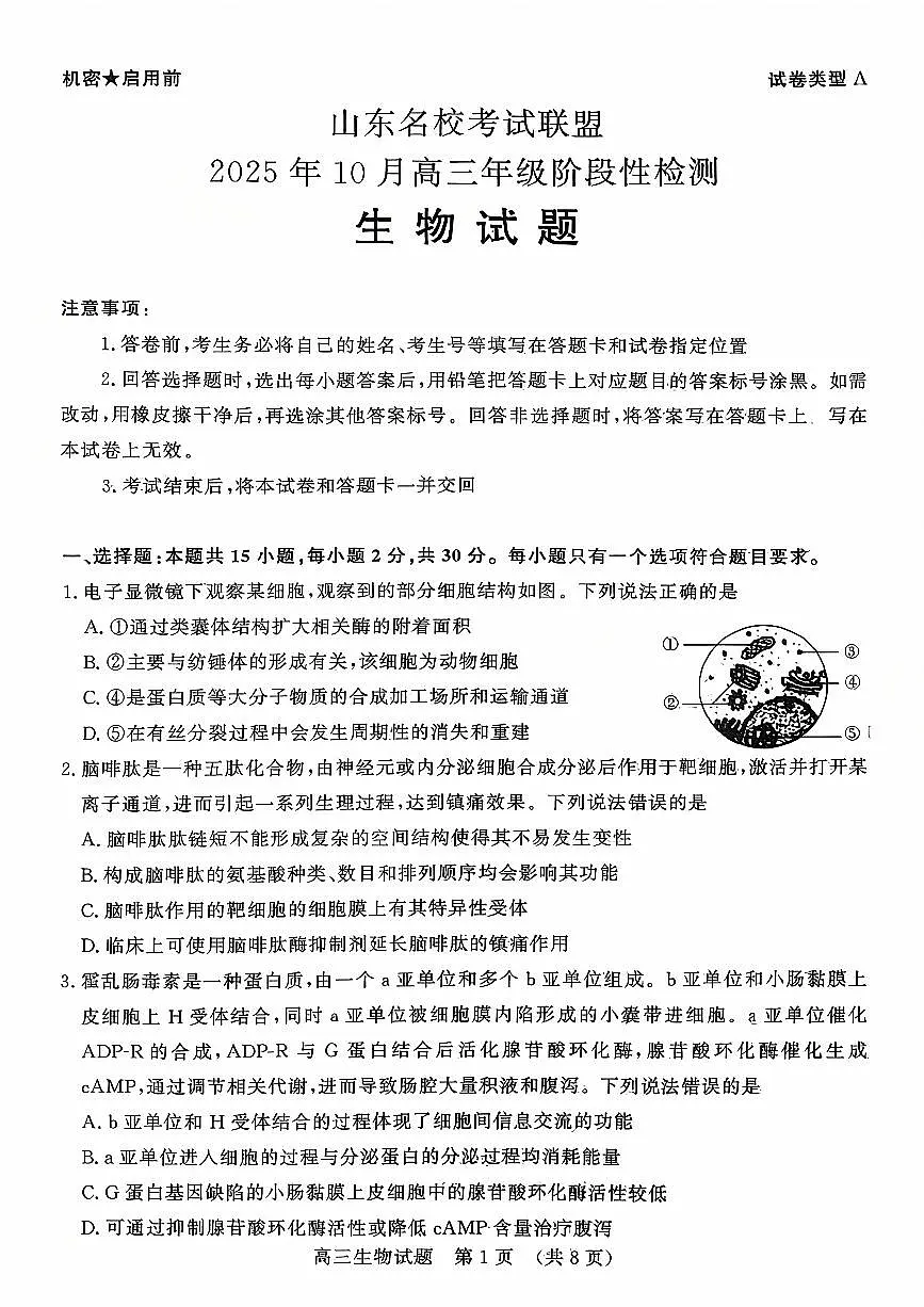 山东名校考试联盟2025年10月高三年级阶段性检测+生物第1页