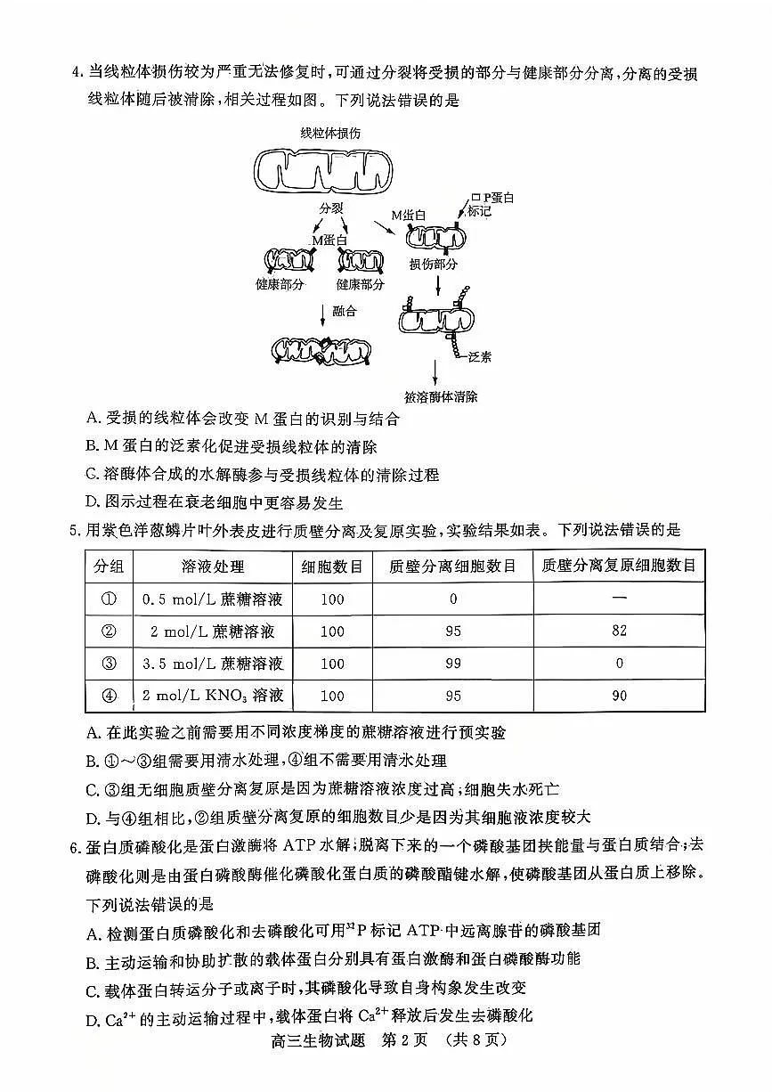 山东名校考试联盟2025年10月高三年级阶段性检测+生物第2页