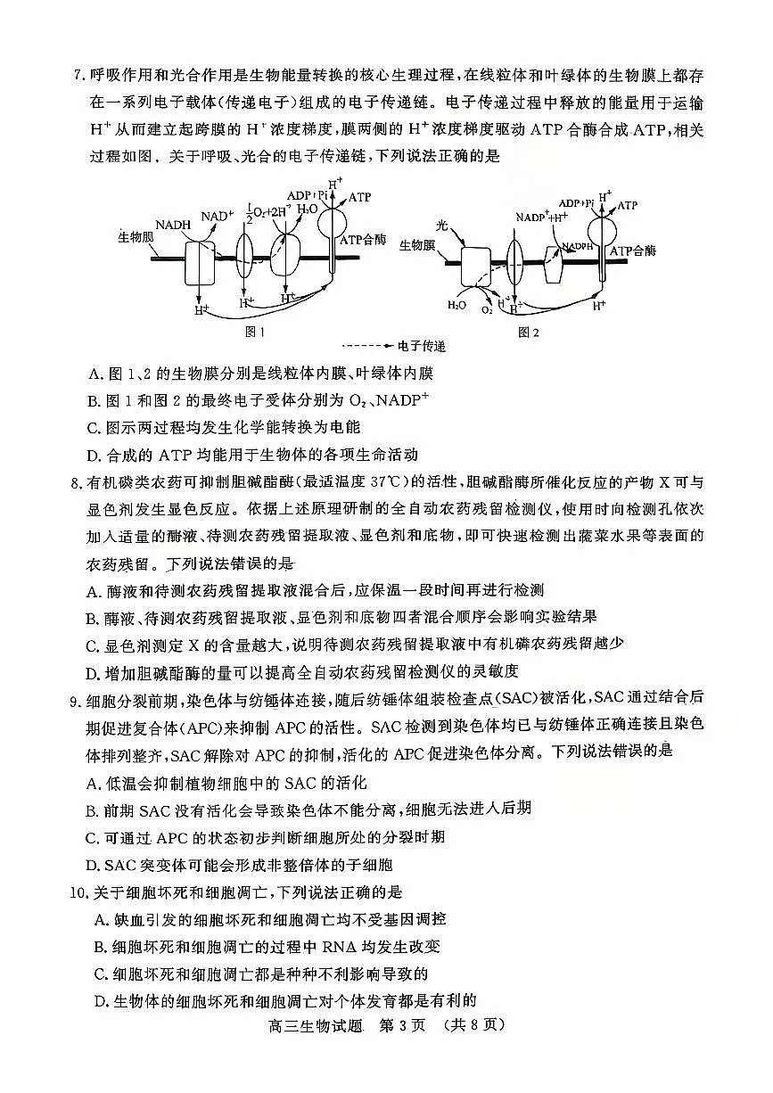 山东名校考试联盟2025年10月高三年级阶段性检测+生物第3页