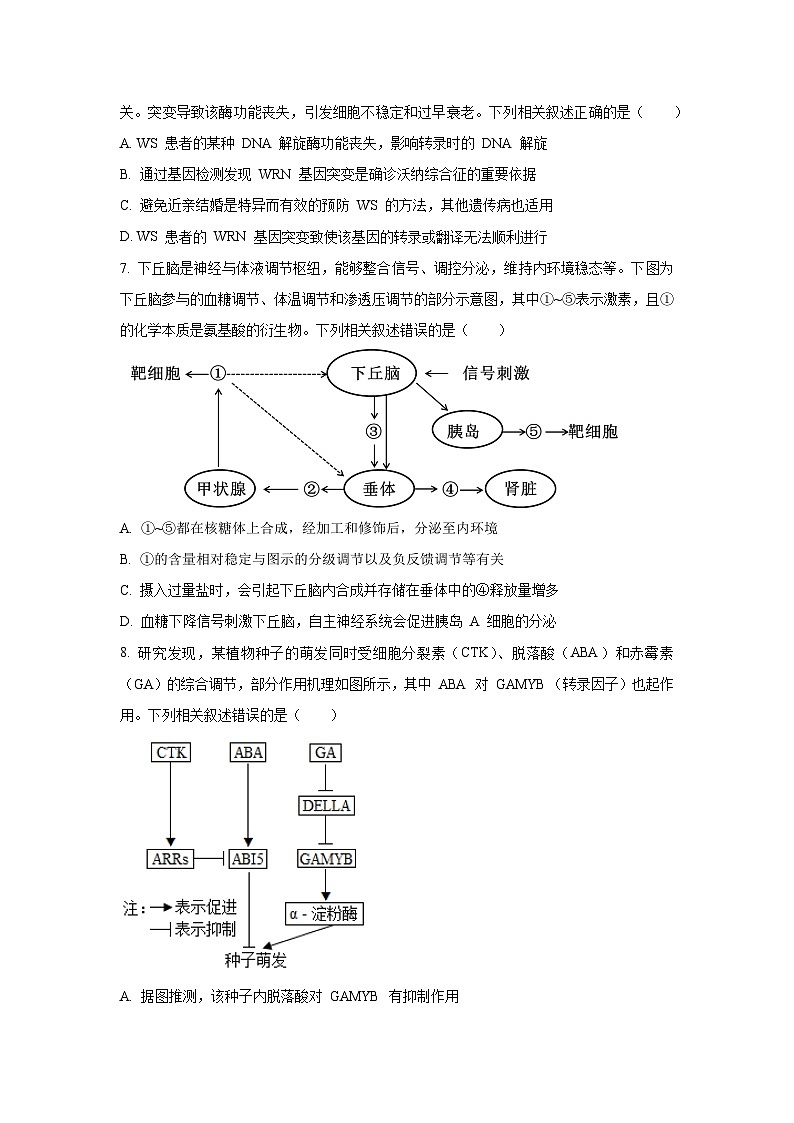 江西省吉安市2025-2026学年高三上学期开学生物试卷（学生版）第3页