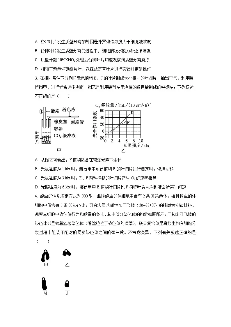 湖北省部分高中2025-2026学年高三上学期9月月考生物试卷（学生版）第2页