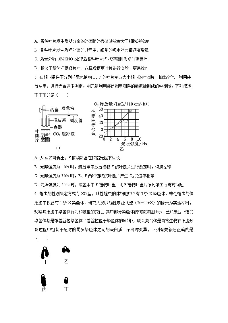 湖北省部分高中2025-2026学年高三上学期9月月考生物试卷（学生版）第2页