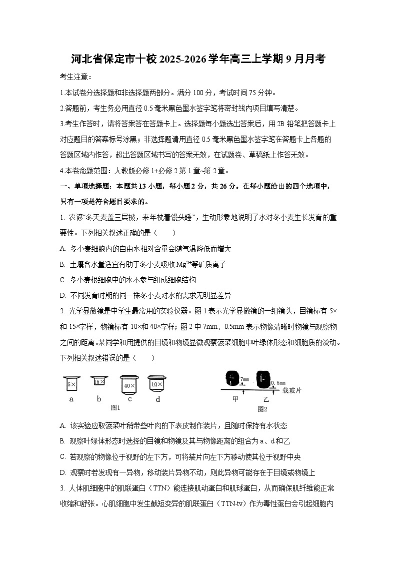 河北省保定市十校2025-2026学年高三上学期9月月考生物试卷（学生版）第1页