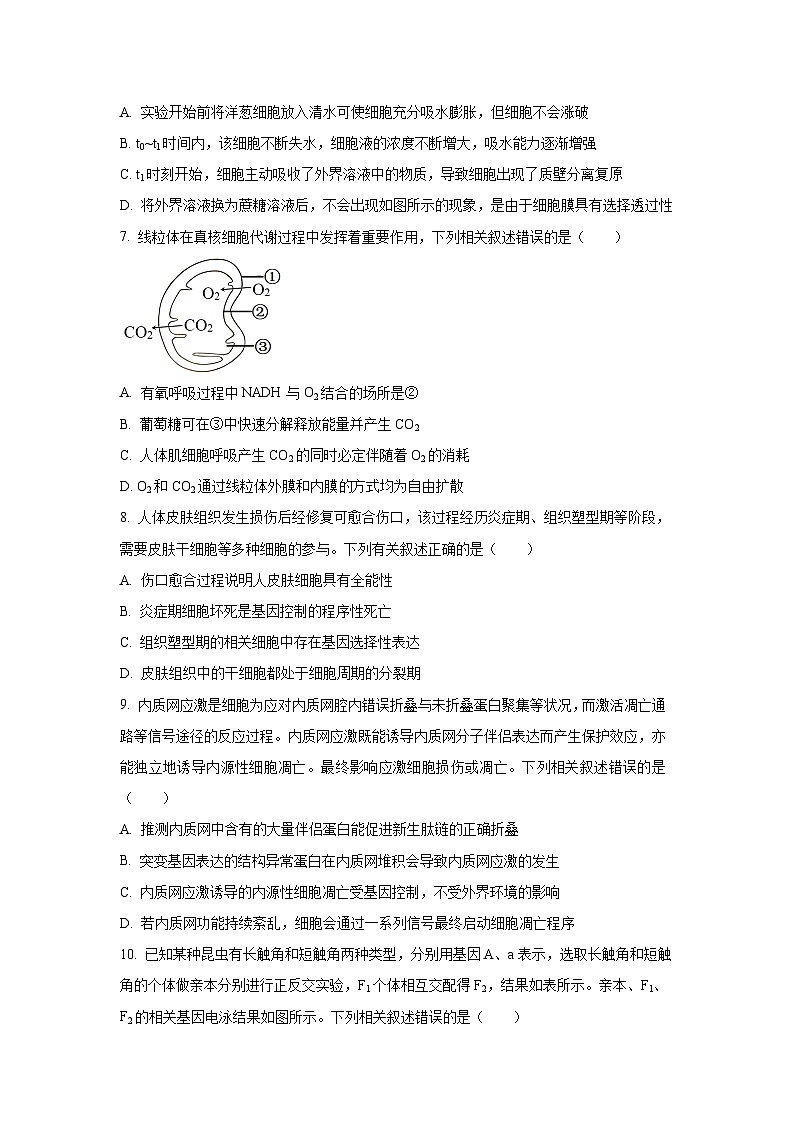 河北省保定市十校2025-2026学年高三上学期9月月考生物试卷（学生版）第3页