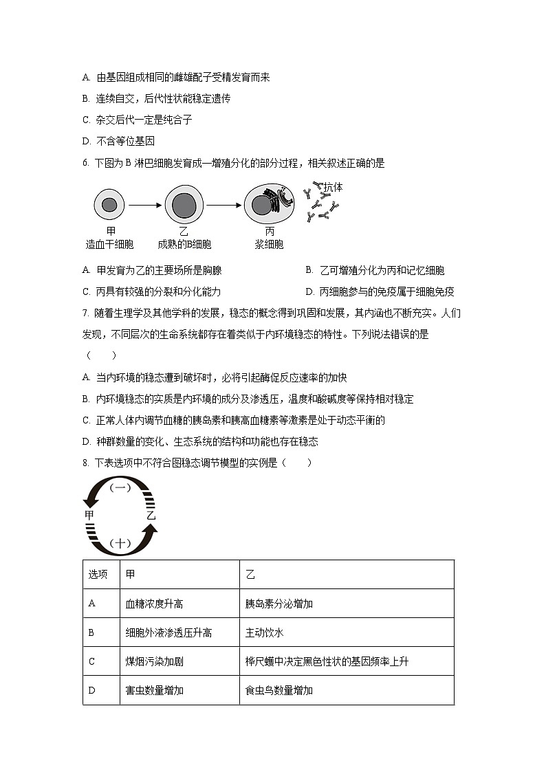 广东省两校2025-2026学年高三上学期9月月考生物试卷（学生版）第2页