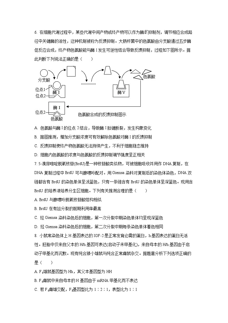 四川省巴中市2026届高三一模生物试卷（学生版）第3页