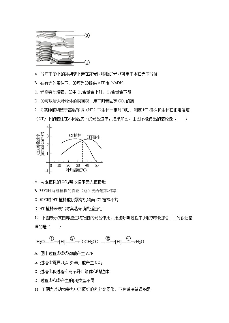 陕西省宝鸡市2025届高三上学期第二次模拟生物试卷（学生版）第3页