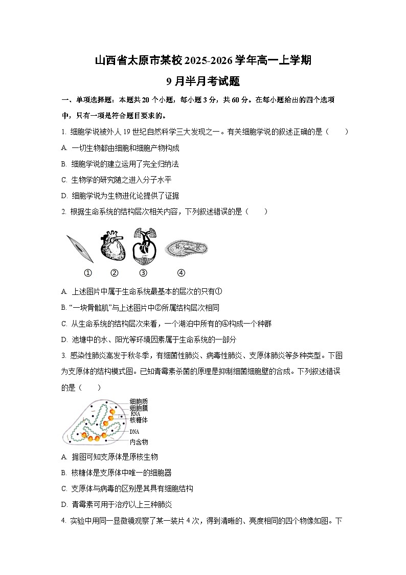 山西省太原市某校2025-2026学年高一上学期9月半月考生物试卷（学生版）第1页