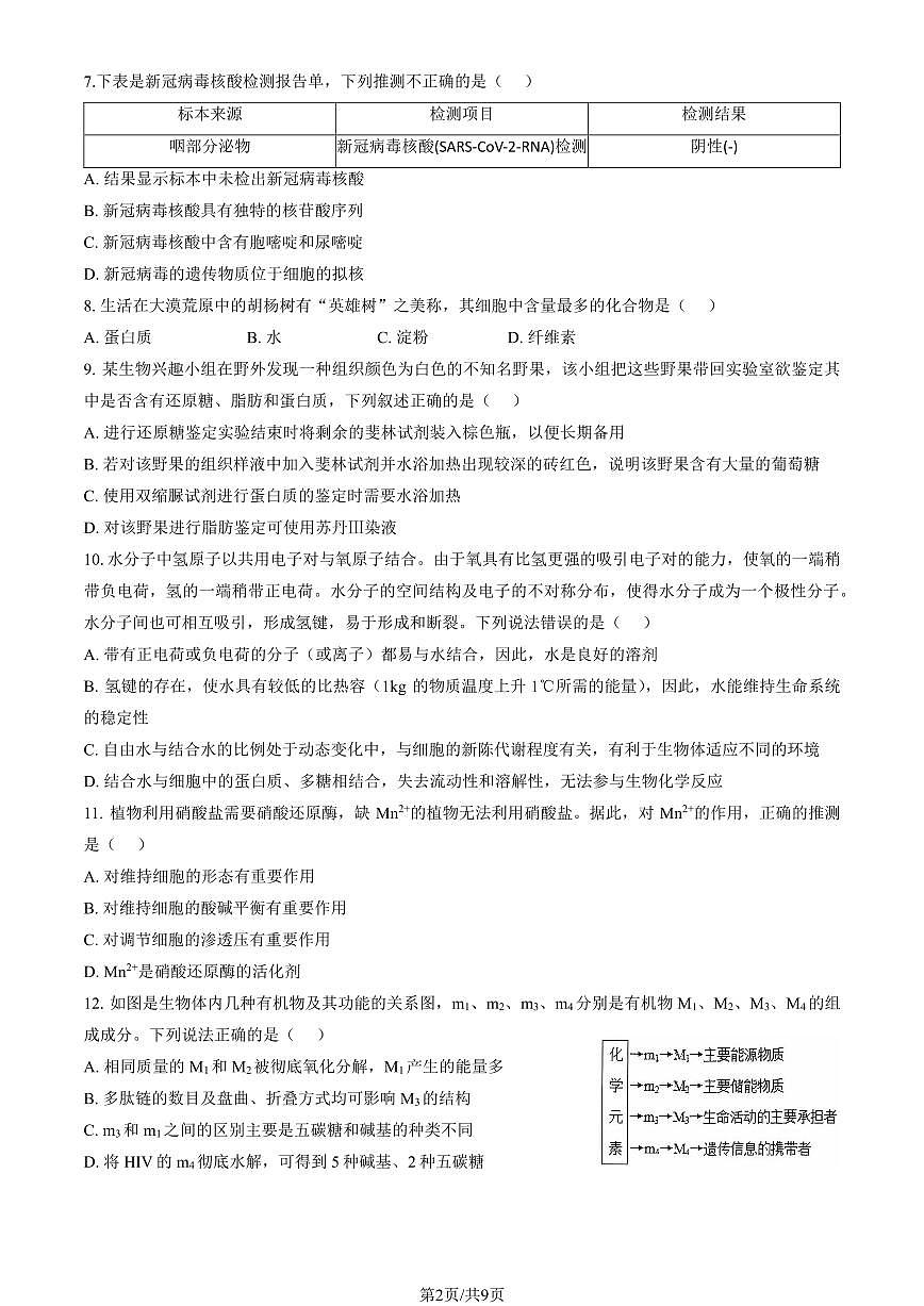 2025北京八十中高一上10月月考生物试卷（教师版）第2页