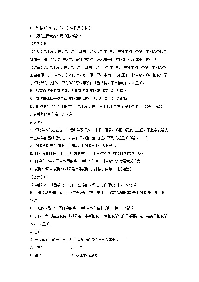 【生物】湖北省荆州市沙市区沙市中学2024-2025学年高一上学期9月月考试题（解析版）第2页