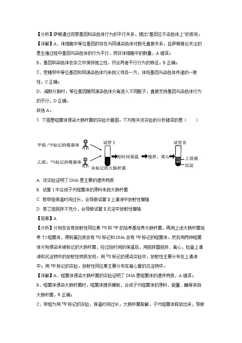 【生物】湖南省永州市2024—2025学年高一下学期期末考试试题（解析版）第3页