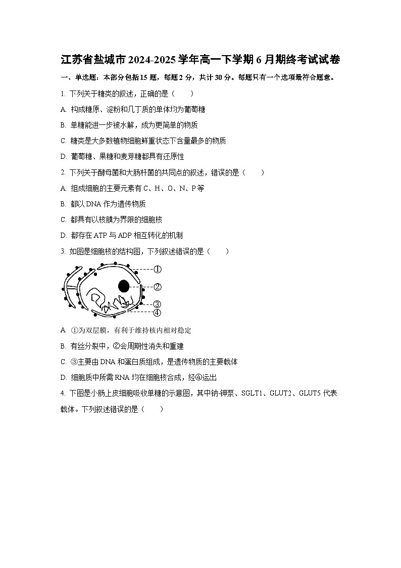【生物】江苏省盐城市2024-2025学年高一下学期6月期终考试试卷（学生版）第1页