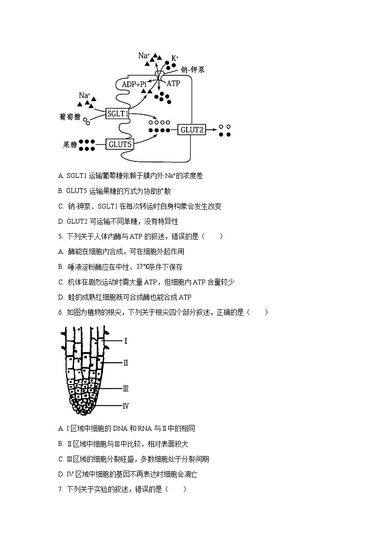 【生物】江苏省盐城市2024-2025学年高一下学期6月期终考试试卷（学生版）第2页