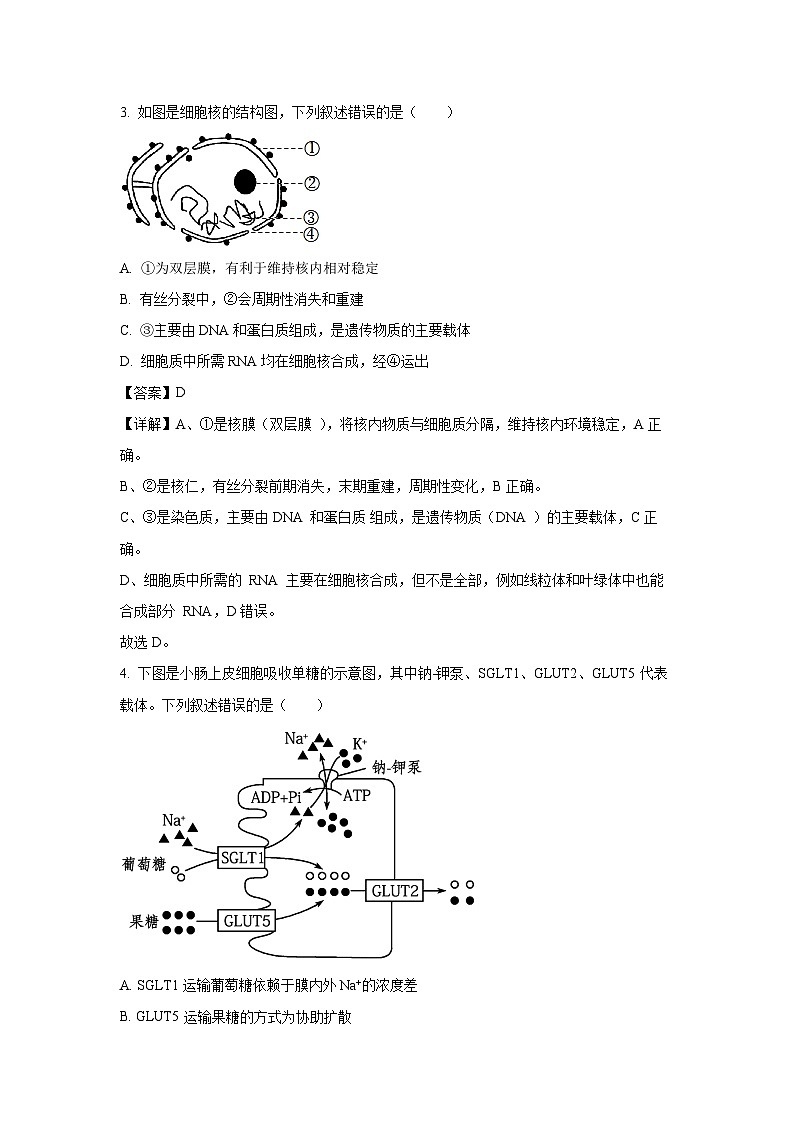 【生物】江苏省盐城市2024-2025学年高一下学期6月期终考试试卷（解析版）第2页