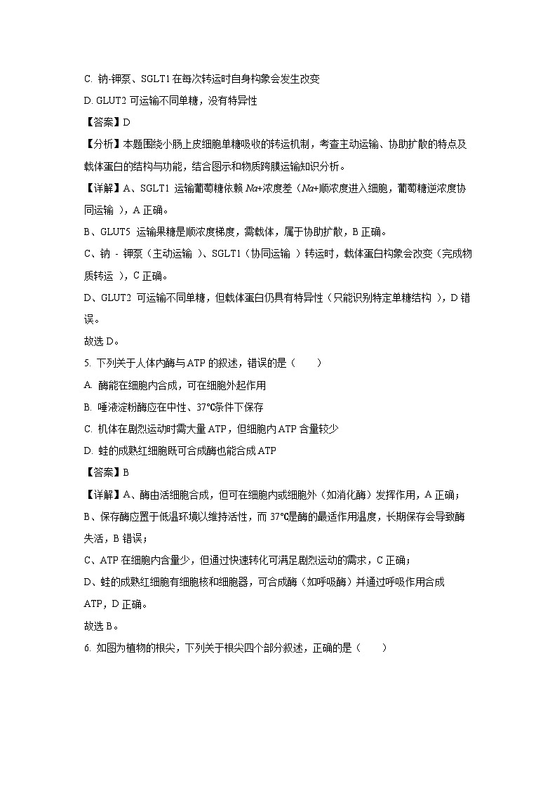 【生物】江苏省盐城市2024-2025学年高一下学期6月期终考试试卷（解析版）第3页