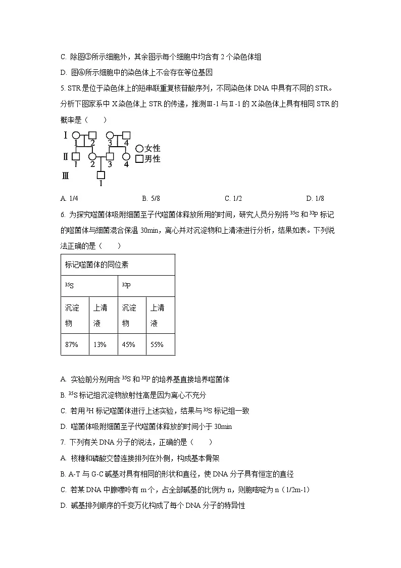【生物】山东省潍坊市2024-2025学年高一下学期期末质量监测试题 （学生版）第2页