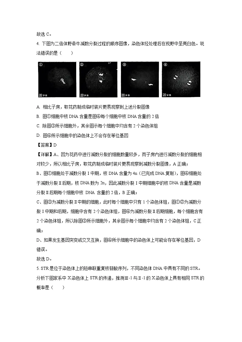 【生物】山东省潍坊市2024-2025学年高一下学期期末质量监测试题 （解析版）第3页