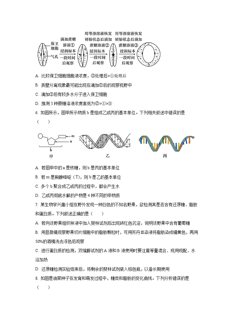 【生物】山东省潍坊市某校2024-2025学年高一上学期11月月考试题（学生版）第3页