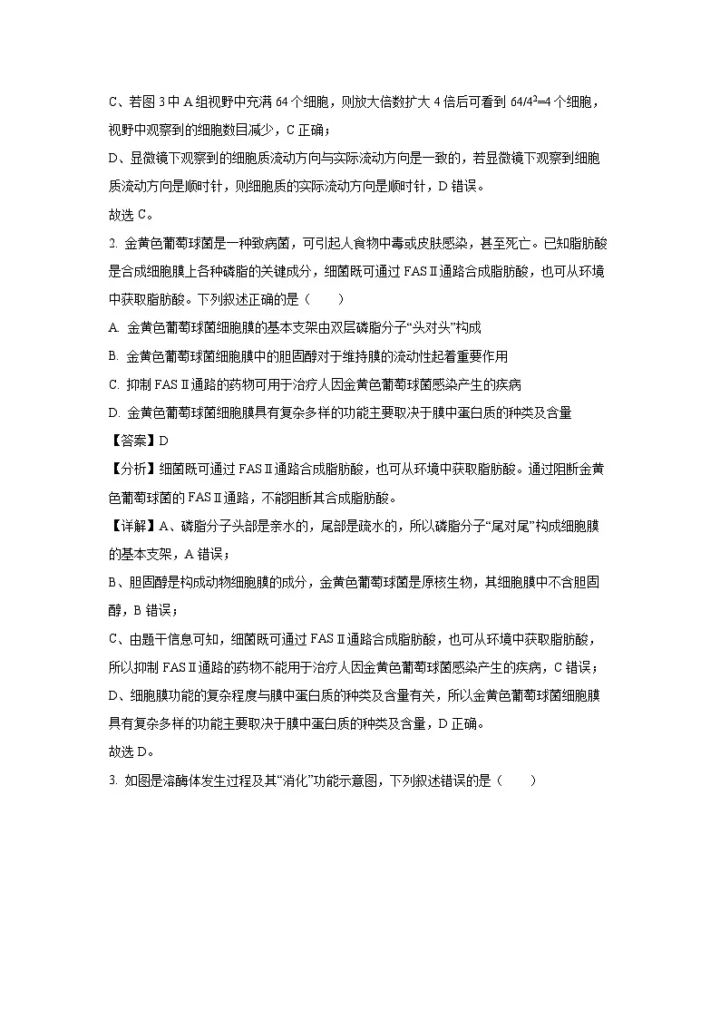 【生物】山东省潍坊市某校2024-2025学年高一上学期11月月考试题（解析版）第2页