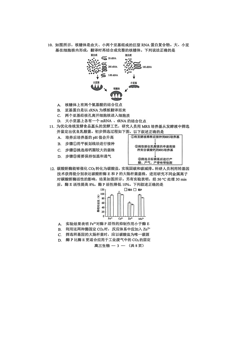 福州市2025-2026学年高三上期8月质量检测生物卷含答案第3页