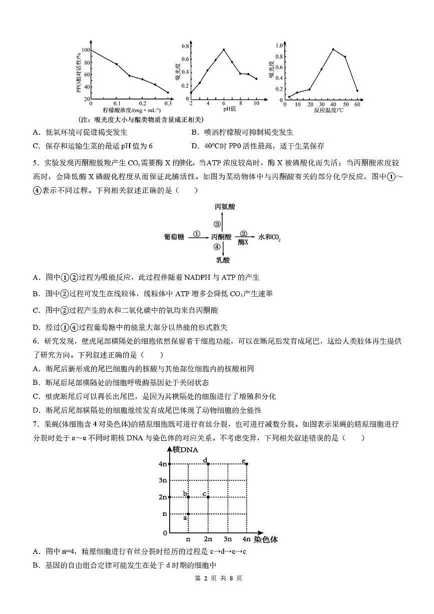 四川省成都市石室中学2025-2026学年高三上学期10月月考+生物第2页