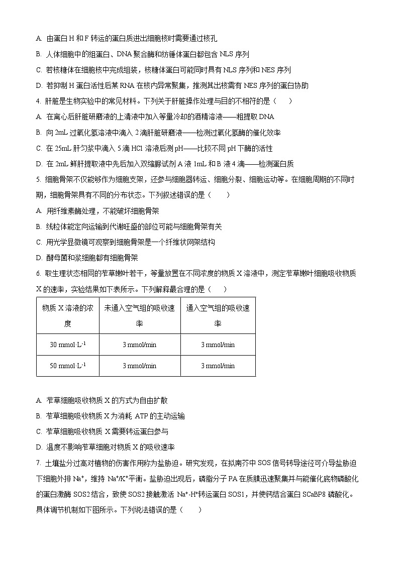 精品解析：山东省实验中学2025—2026学年高三上学期第一次诊断性考试生物试题（原卷版）第2页