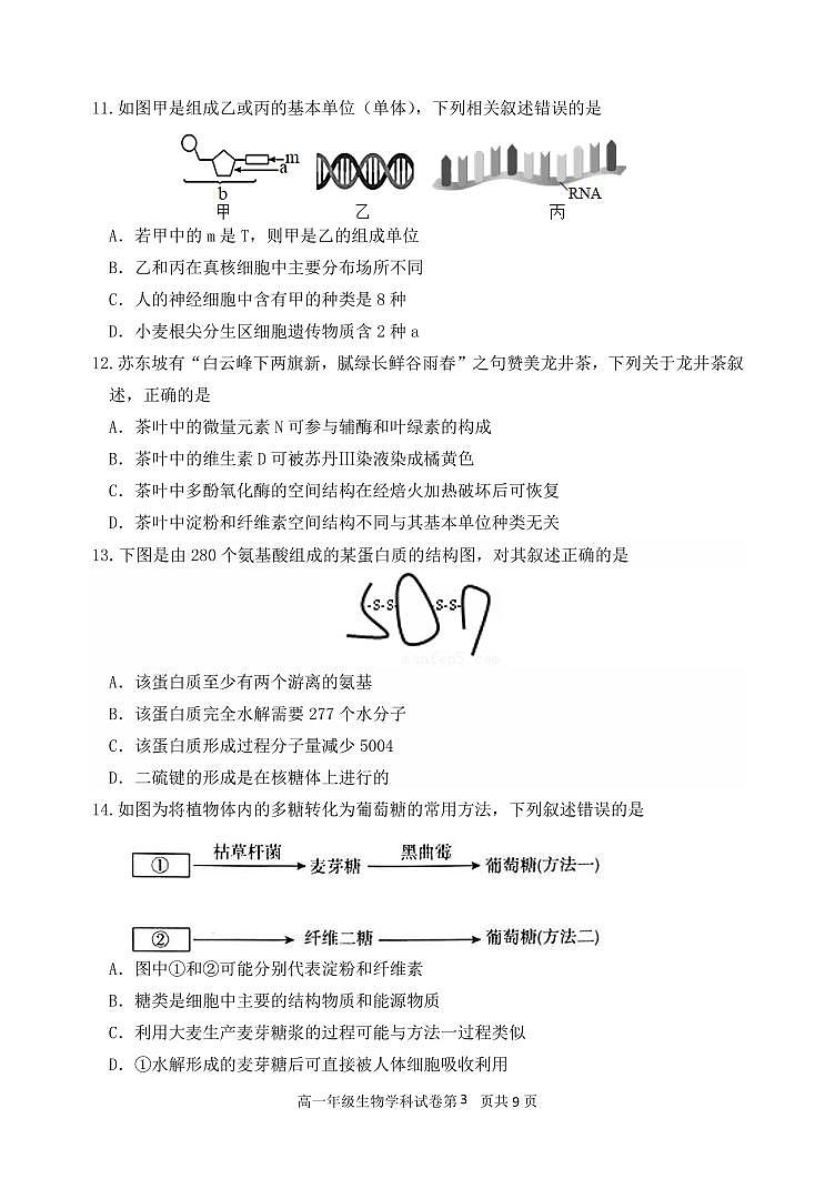 辽宁省沈阳市东北育才学校2025-2026学年第一学期高一生物10月月考试卷（含答案）第3页